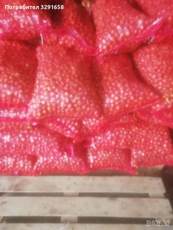 Арпаджикова Балучка, снимка 1