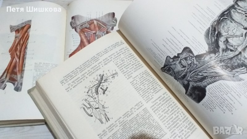 Анатомия на човека - Атлас на Карданов, комплект, снимка 1