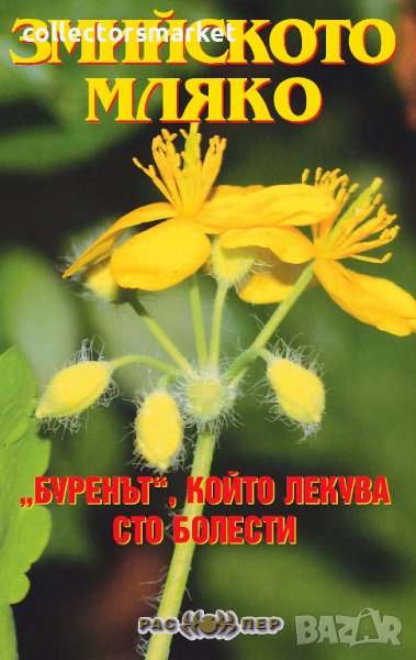 Змийското мляко – “буренът”, който лекува сто болести, снимка 1