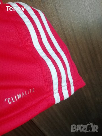 Benfica Lisbon 2019/2020 Adidas Нова Оригинална Тениска Фланелка размер L Бенфика , снимка 7 - Тениски - 41901585