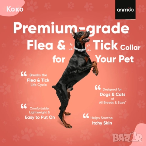 Каишка за куче или котка против кърлежи, бълхи, комари, мухи и др, снимка 4 - За кучета - 52396267