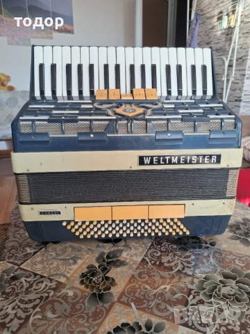 Велтмайстер кордал 80 баса 