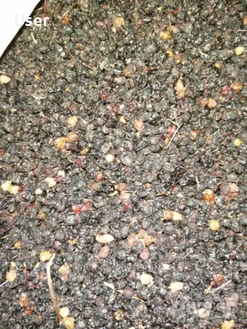 Сушени плодове от бъз естествен имуностимулатор бъзак, снимка 2 - Други - 52180797