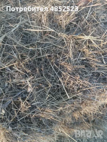 Продавам малки бали ливадно сено 