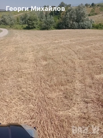  Земеделска земя, 4 дка, категория 8 , снимка 4 - Земеделска земя - 50755747