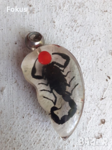 Медальон скорпион