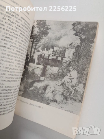 Как да гледаме живописта , снимка 9 - Специализирана литература - 53564813