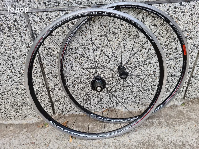 Шосейни капли Campagnolo asymmetric