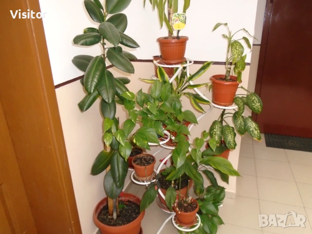 Sony Cyber-shot DSC-W800  20.1 МРх, снимка 14 - Фотоапарати - 53557048