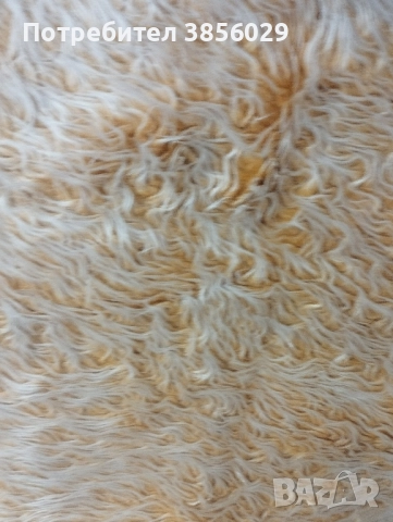 губер или халище от соца