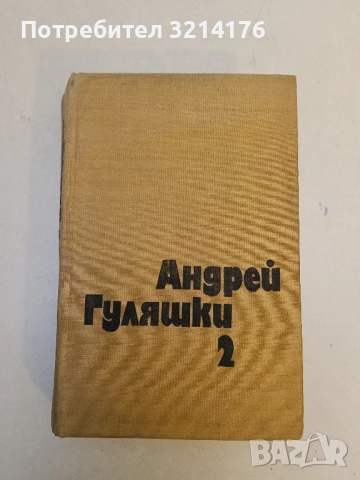 Писма от Тихия град. Какво не знае младата жена - Андрей Гуляшки, снимка 2 - Българска литература - 51649044