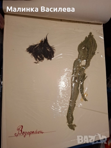 Хербарии, снимка 2 - Декорация за дома - 52879623