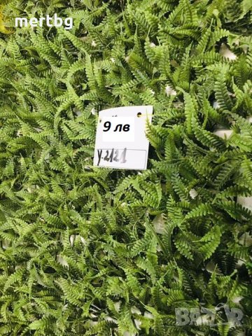 Изкуствена трева пано 60х40см модели, снимка 8 - Пана - 22904178
