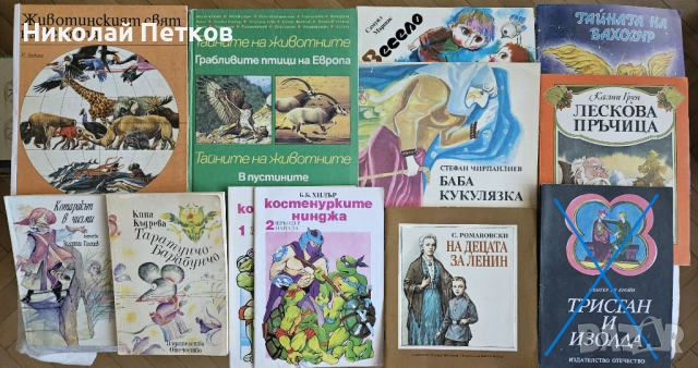 Стари книги, снимка 13 - Антикварни и старинни предмети - 51379542
