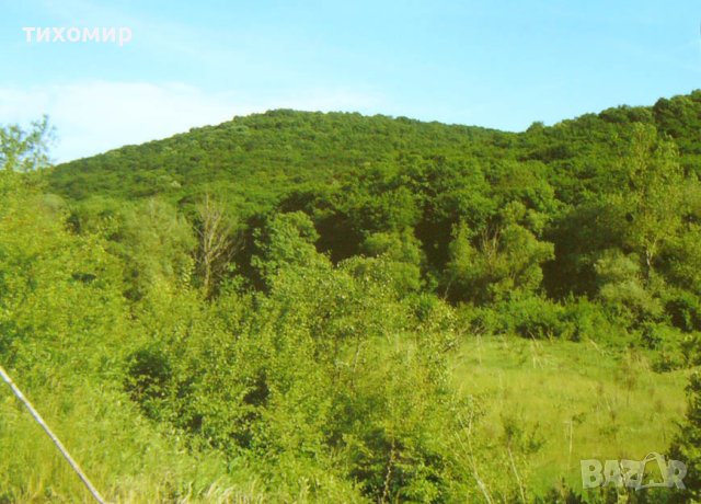 Имот на река Батова,подходящ за хижа с водоем,ваканционно селище,частно имение,рибарници., снимка 2 - Земеделска земя - 41911700