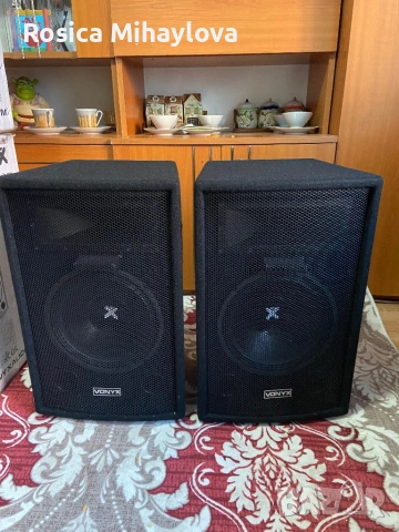 Тонколони VONYX 10 инчови 500 Watta