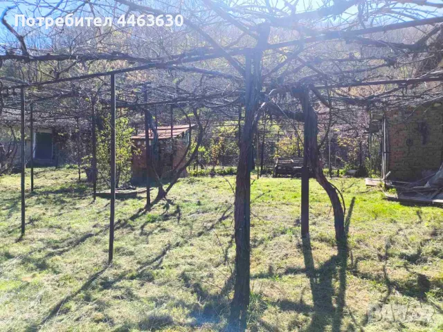 Парцел в с. Крайни дол, снимка 6 - Парцели - 50165003