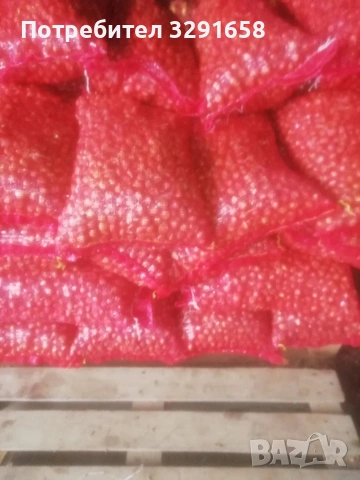 Арпаджикова Балучка