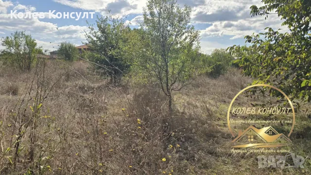 парцел УПИ град Димитровград кв Черноконево, снимка 4 - Парцели - 56258623