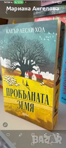Лиз Томфорд с порезки