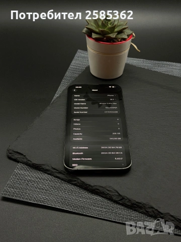 iPhone 13 Pro Max 256 GB Graphite / 100% Батерия / Перфектен технически, снимка 4 - Apple iPhone - 53557125