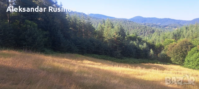 Продава се земя в Родопите, снимка 4 - Земеделска земя - 51240521