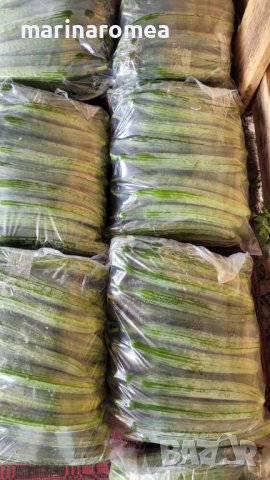 Чували за краставици, снимка 2 - Други - 42650153