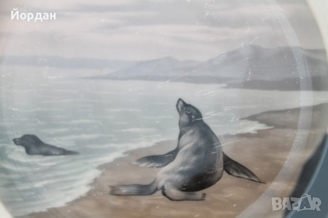 Немска порцеланова чиния за стена, снимка 3 - Колекции - 39663545