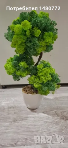 Бонсай със скандинавски мъх в саксийка, снимка 8 - Декорация за дома - 48125215