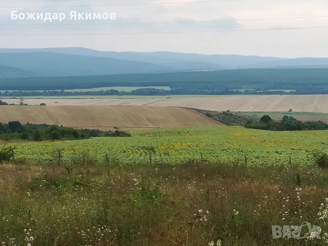 Парцел Бяла, област Варна, снимка 5 - Парцели - 50363074