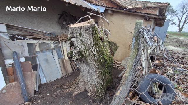 Орехова дървесина , снимка 9 - Други - 52591216