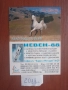 19 малки календарчета от 2006 до 2012, снимка 8