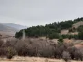 Парцел в с.Друган , снимка 1