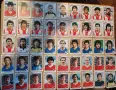 Лот 518 стикера Mexico 1986 Spain 1982 Panini Панини, снимка 6