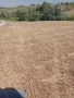  Земеделска земя, 4 дка, категория 8 , снимка 4