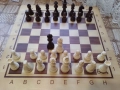Шахматен комплект, снимка 1