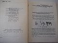 Книга "Р-во за квалифик.на раб.от меб.промиш.-Д.Дундов"-276с, снимка 3