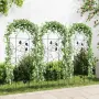 vidaXL Стойки за пълзящи растения, 3 бр, черни, 40х100 см, желязо（SKU: 47099）, снимка 2