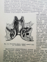 Симптоматична диагностика на хирургичните заболявания-1973г.руско издание, снимка 5