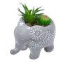 Декоративна саксия слон и сукулент, 15x10x13см, снимка 2