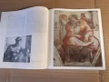 Албум изкуство , живопис - МИКЕЛАНДЖЕЛО, снимка 6