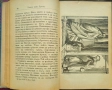 Пътьтъ къмъ Христа Е. Г. Вайтъ /1899/, снимка 5