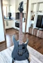 Ibanez RG320EXZ Black Flat, 2021, Indonesia, снимка 2