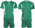 Екип за футбол/ волейбол/ хандбал, фланелка с шорти зелено и бяло, снимка 1 - Спортни дрехи, екипи - 36227495