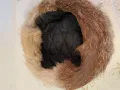 шапка от лисица 25/4, снимка 5