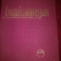 Енциклопедия на изобразителните изкуство в България,том 1, снимка 1 - Енциклопедии, справочници - 36291552