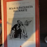 Мъж в разцвета на силите/роман 831, снимка 1 - Художествена литература - 34044842