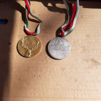 Два броя медали, снимка 7 - Колекции - 36216483