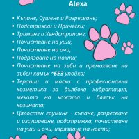 Grooming salon Alexa by Elitsa Daskalova - груминг салон в град Хасково, снимка 2 - Ветеринари и услуги - 41871844