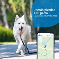  GPS кучета, Местоположение в реално време, Неограничено разстояние, снимка 3 - За кучета - 40918067